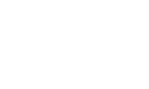 AMI Preferred Partner logo