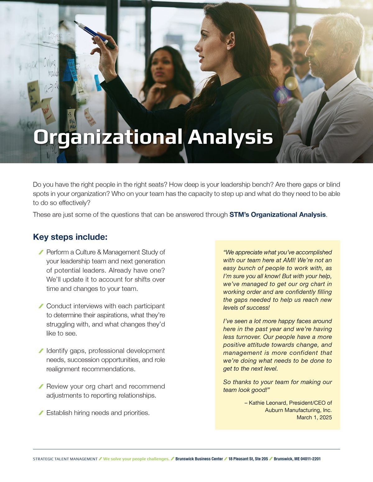 stm-organizational-analysis-sheet-img